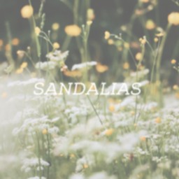 SANDALIAS.png